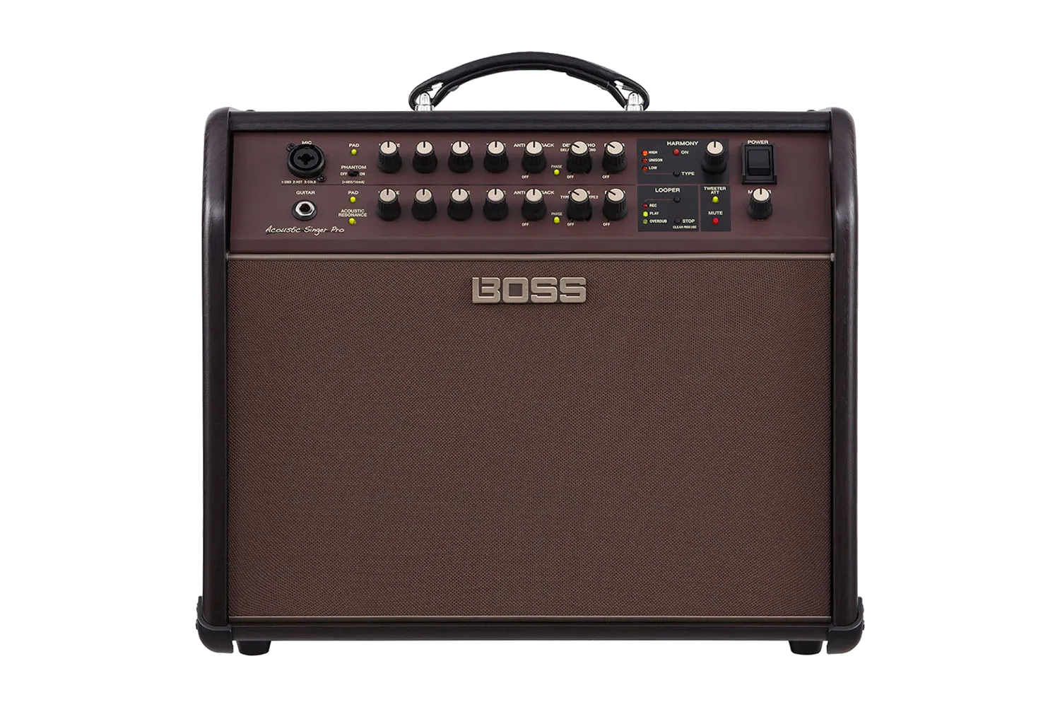 Boss Acoustic Singer Pro