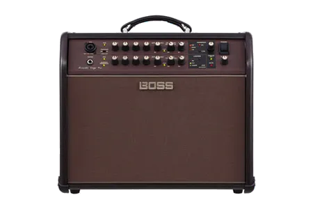 Boss Acoustic Singer Pro
