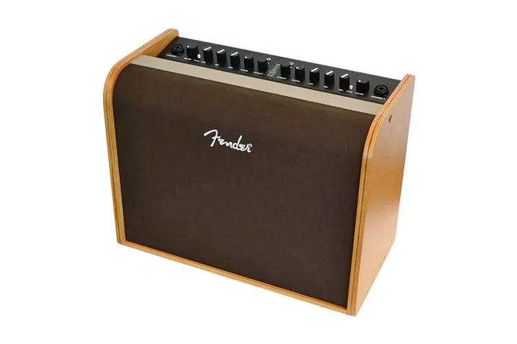 Fender Acoustic 100