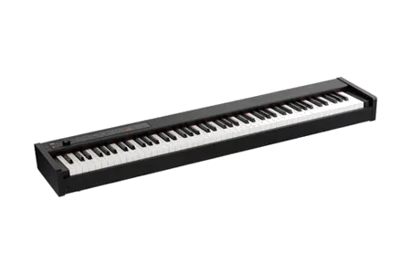 Korg D1