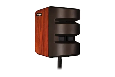 LR Baggs Synapse