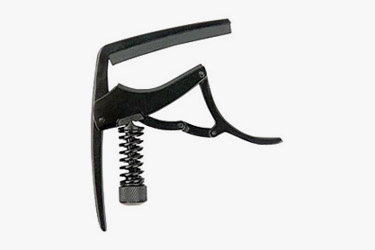 Planet Waves Dual Action Capo
