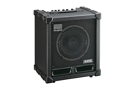 Roland CUBE-60XL Bass
