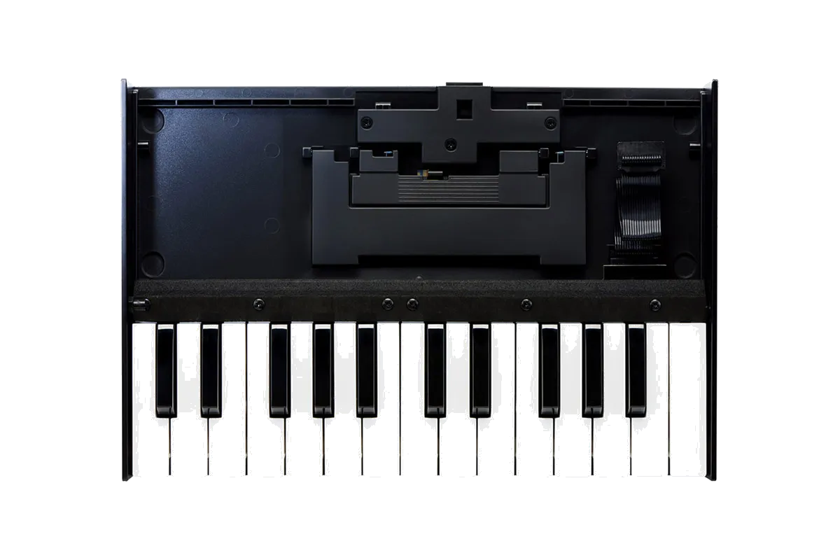 Roland K-25m