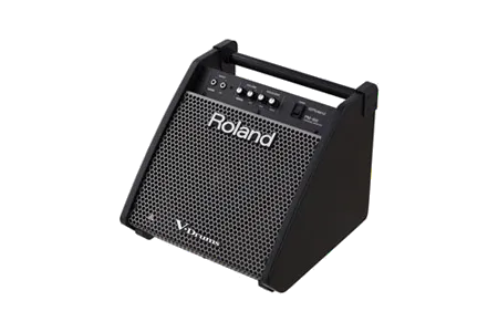 Roland PM-100
