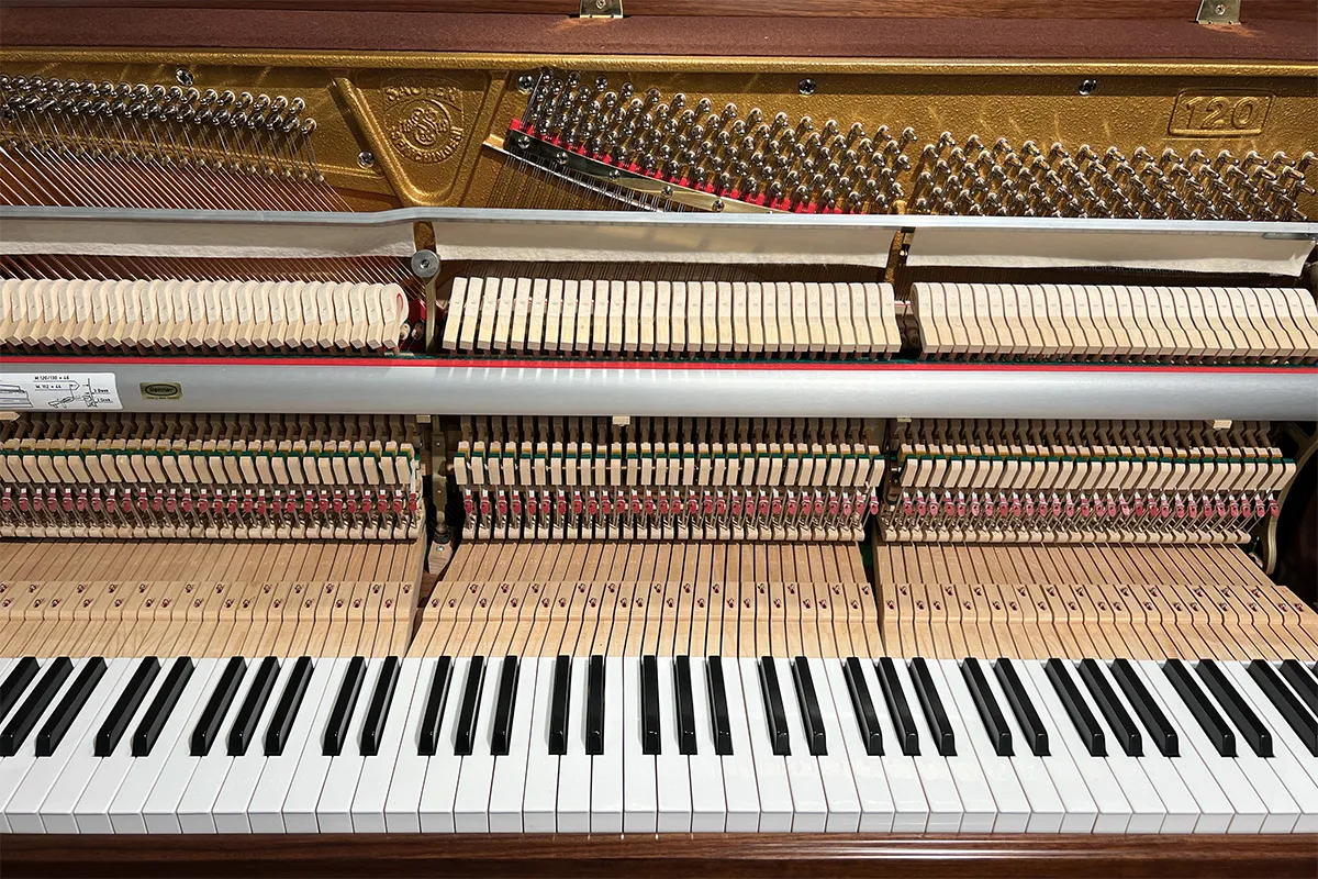 Sauter 122 Resonance