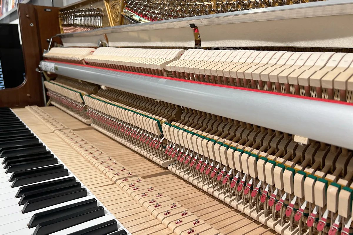 Sauter 122 Resonance