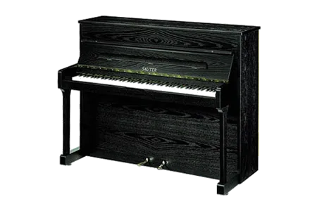 Sauter Carus 112