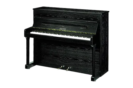 Sauter Carus 112