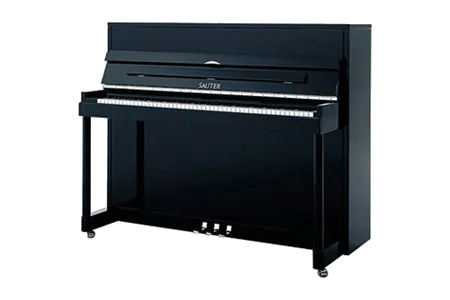 Sauter Vision 116
