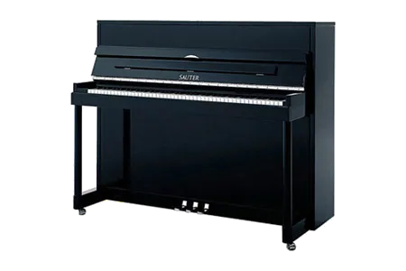 Sauter Vision 116