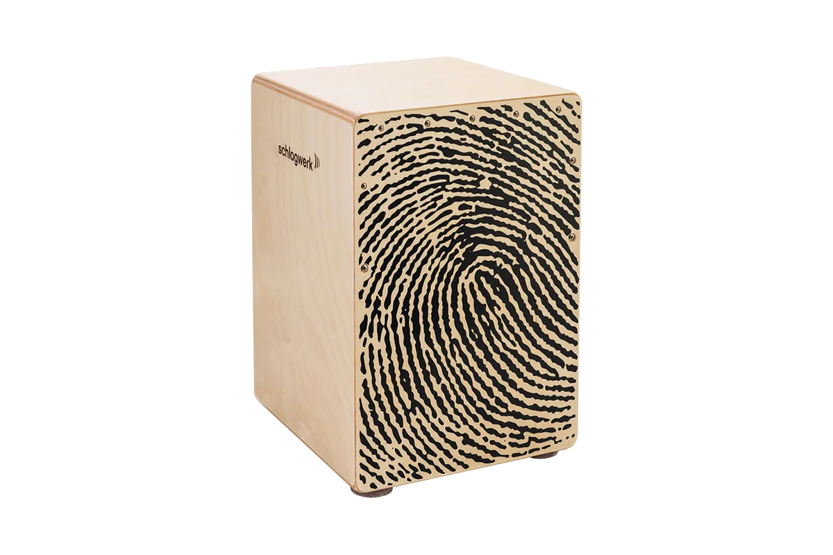 Schlagwerk CP118 X-One Fingerprint Medium