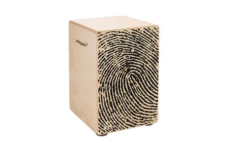 Schlagwerk CP118 X-One Fingerprint Medium