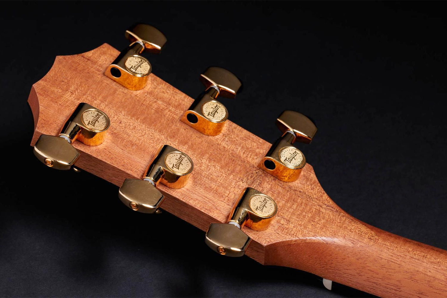 Taylor 217E-SB Plus LTD