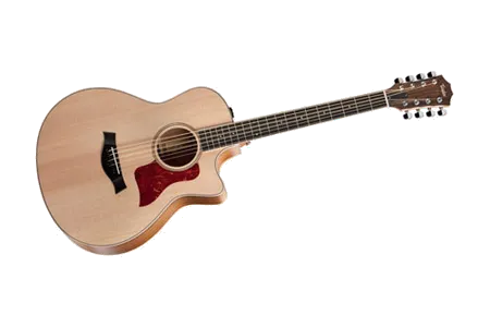 Taylor Baritone 8 Fall LTD 2012