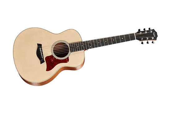 Taylor GS Mini