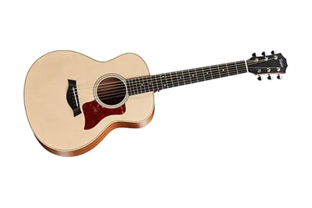 Taylor GS Mini