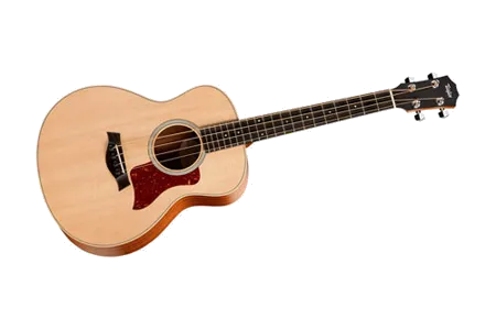 Taylor GS Mini-e Bass