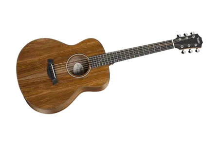 Taylor GS Mini-e Koa