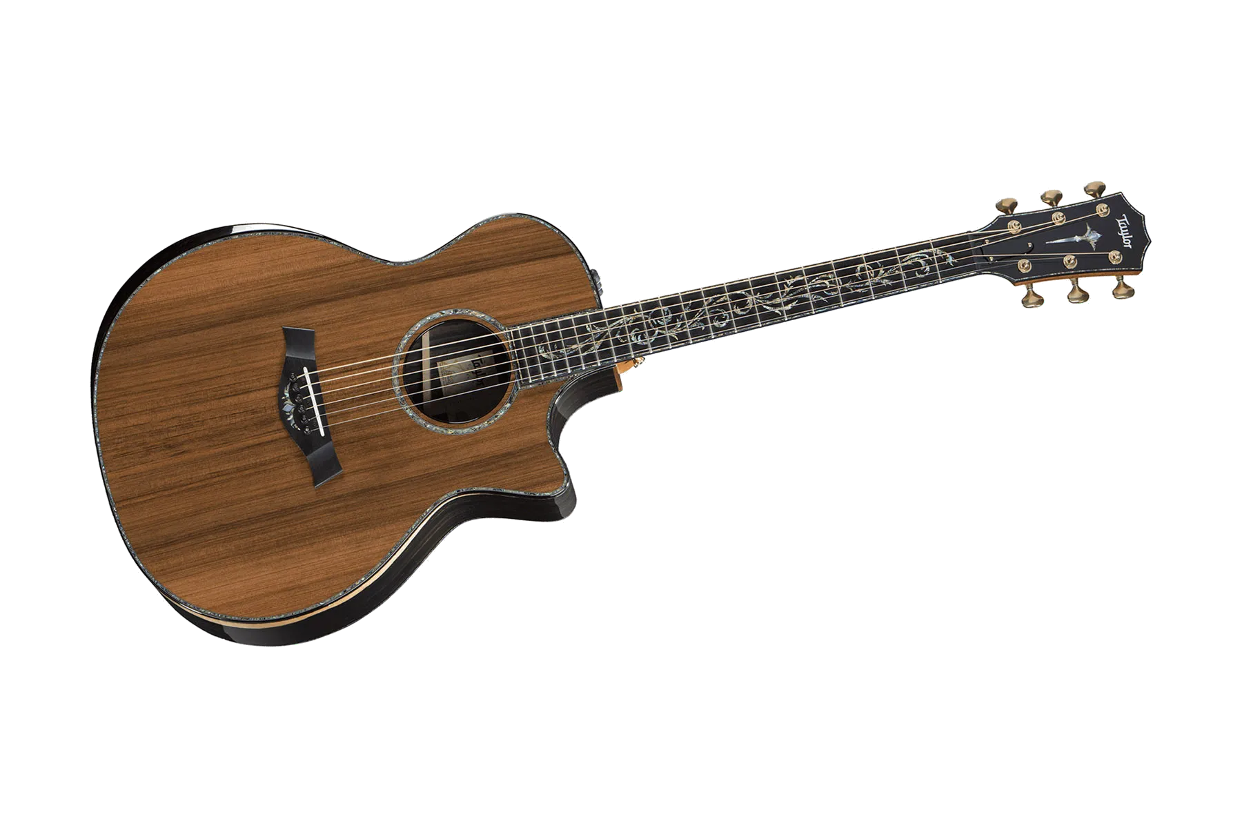 Taylor PS14ce