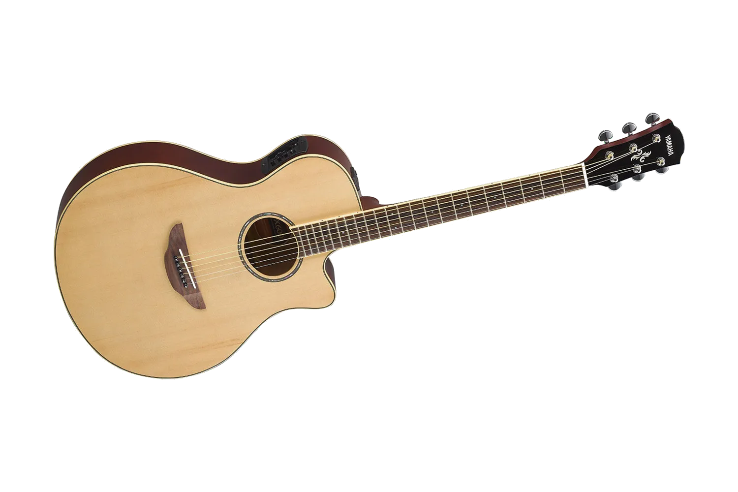 Yamaha APX600NT