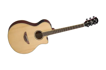 Yamaha APX600NT