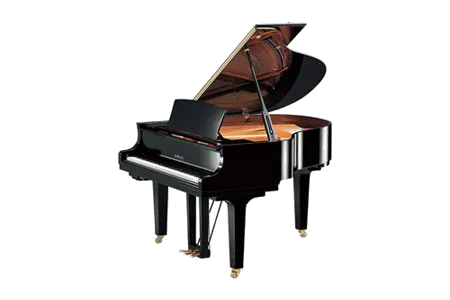 Yamaha C1X TA