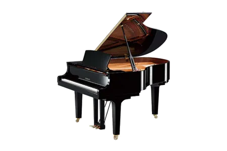 Yamaha C2X