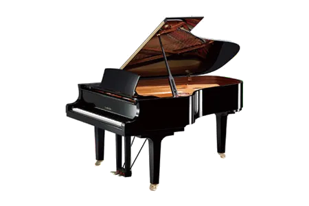 Yamaha C6X