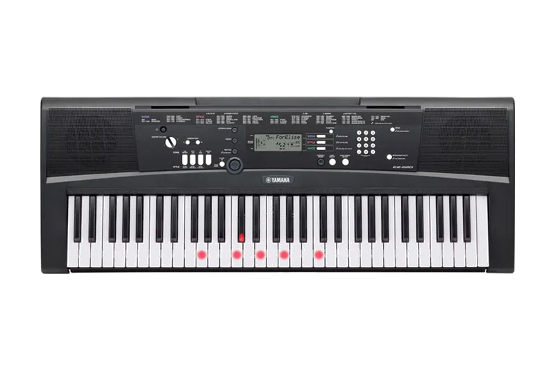 Yamaha EZ-220